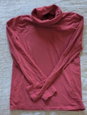 J. Crew Rosewood Tissue Turtleneck Top